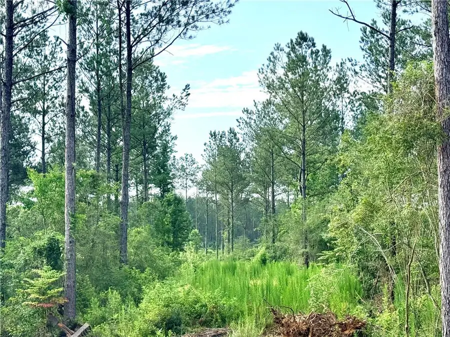 Lot2-A 4.42ac Lee Road, Franklinton, LA 70438 - #3