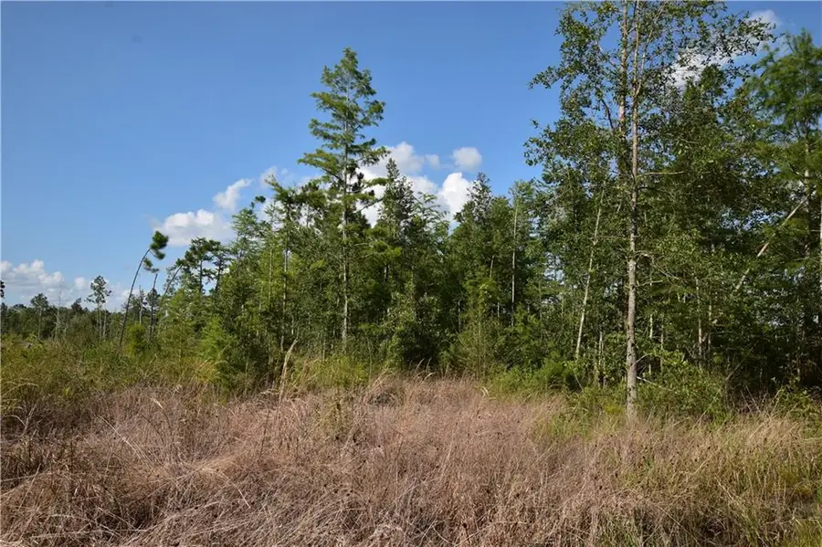 00 Lovern Road, Pearl River, LA 70452 - #2