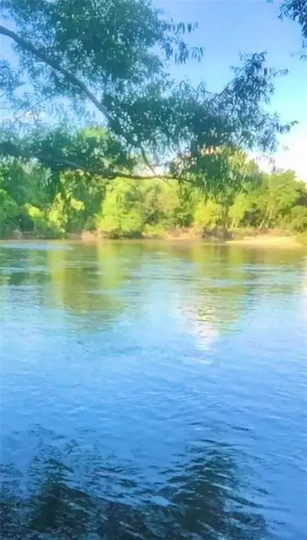 Lot10-11 Bogue Run Road, Franklinton, LA 70438 - #3
