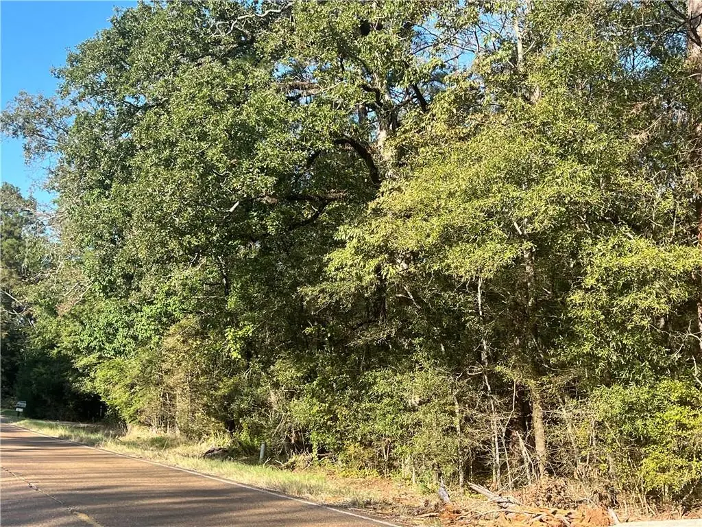 1163 Hwy 115 Highway, Deville, LA 71328 - #1