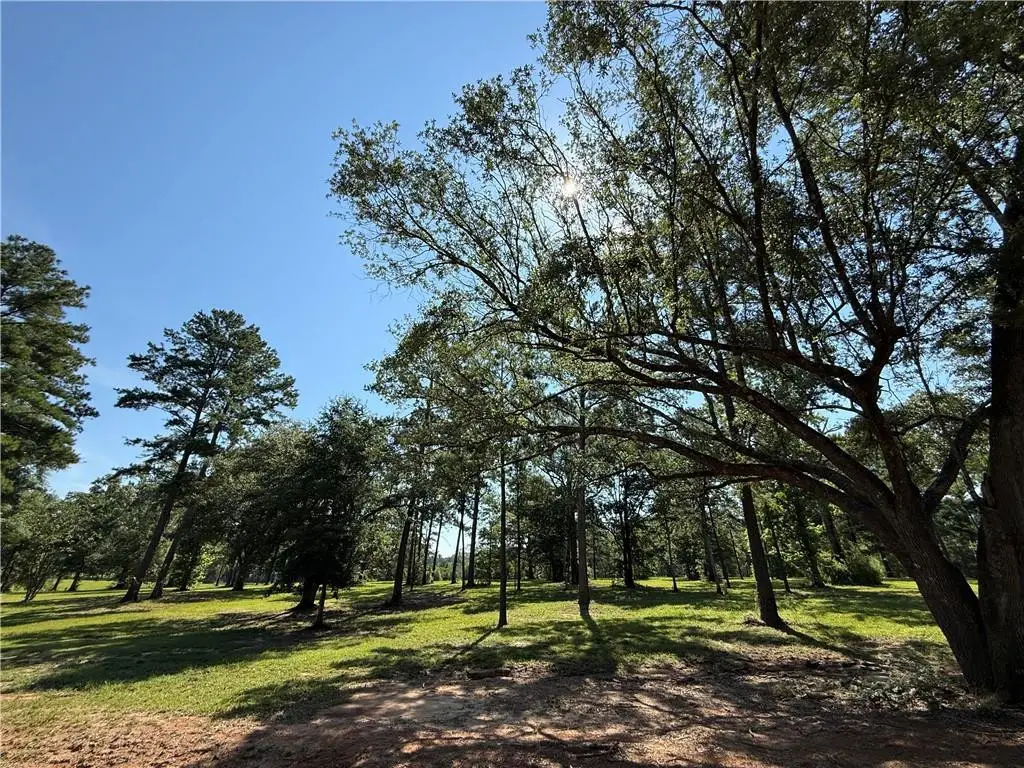 2720 Shade Tree Court, Abita Springs, LA 70420 - #1