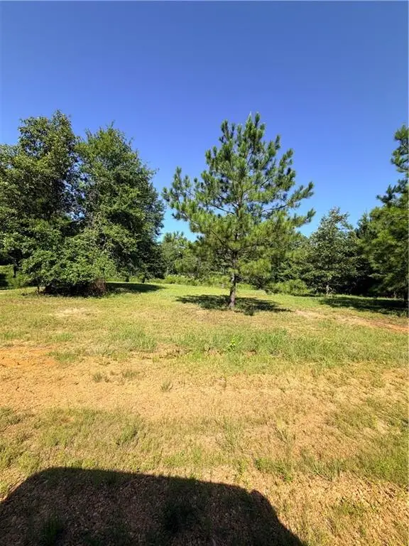 230 Hughart Road, Pollock, LA 71467 - #3