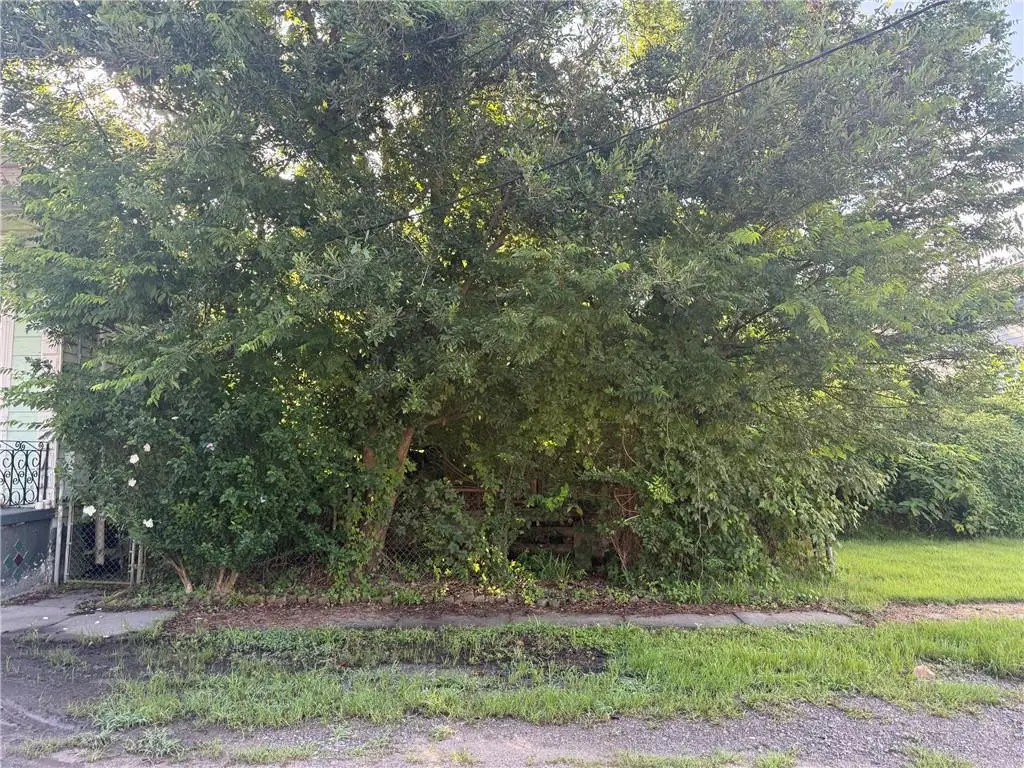 719 Lizardi Street, New Orleans, LA 70117 - #1