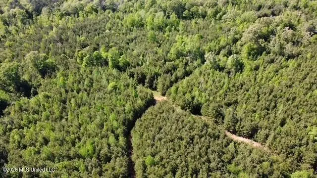 Auburn Street, Bogue Chitto, MS 39629 - #1