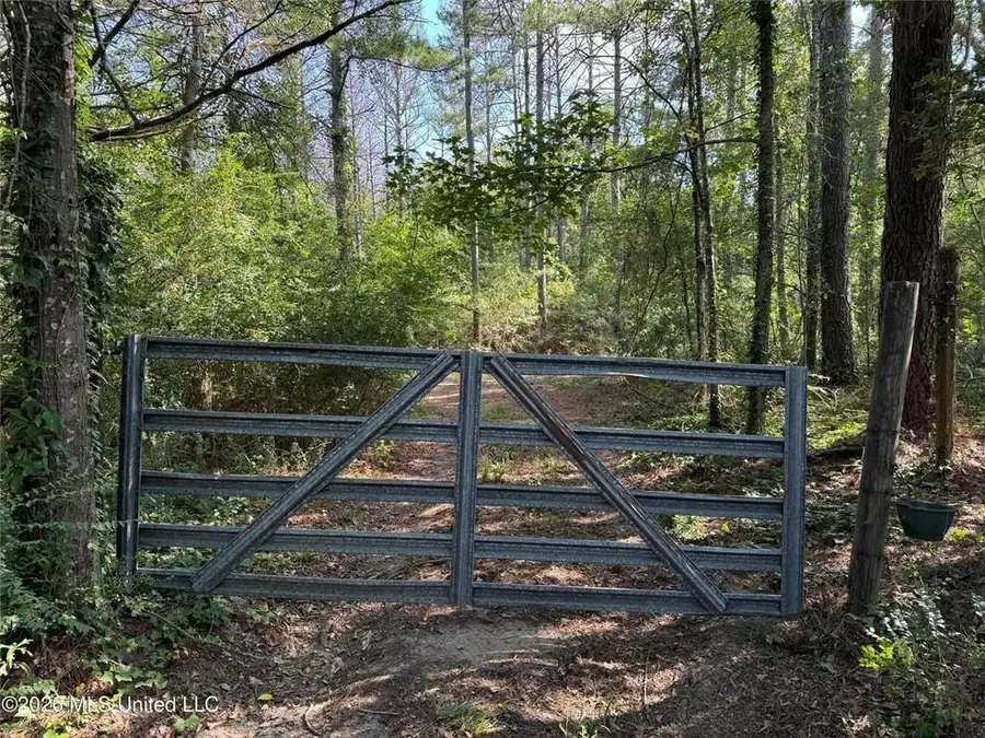 Auburn Street, Bogue Chitto, MS 39629 - #2