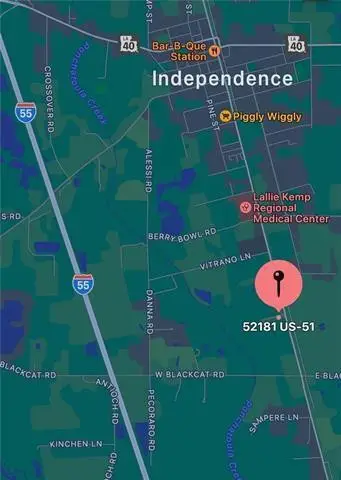 52181 Highway 51, Independence, LA 70443 - #2