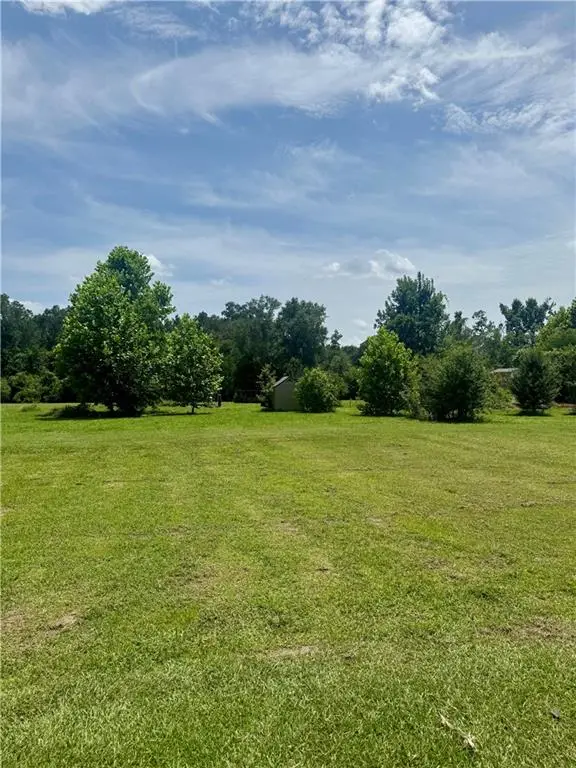 50414 Lester Lane, Loranger, LA 70446 - #3