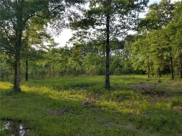 0 Dodd Drive, Deville, LA 71328 - #3