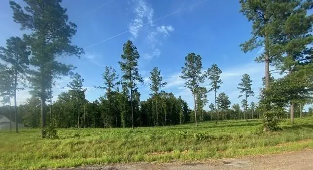 W Teekel Road, Boyce, LA 71409 - #1
