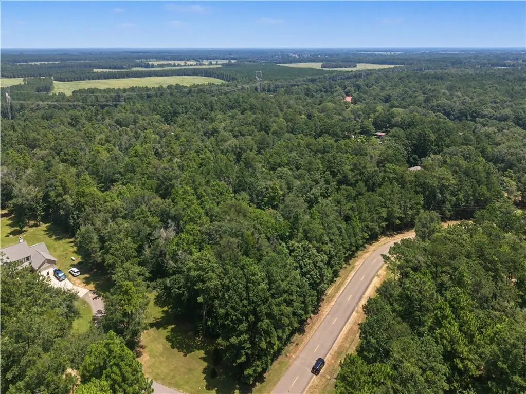 Providence Estates Road, Amite, LA 70422 - #1