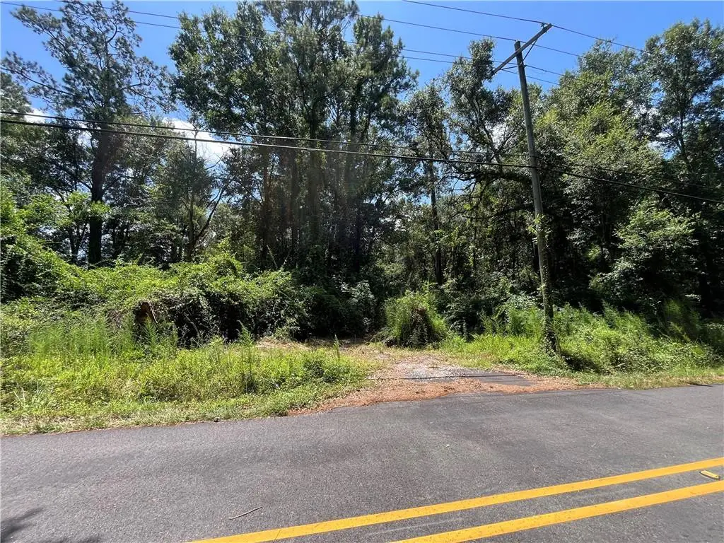 Berry Todd Road, Lacombe, LA 70445 - #1