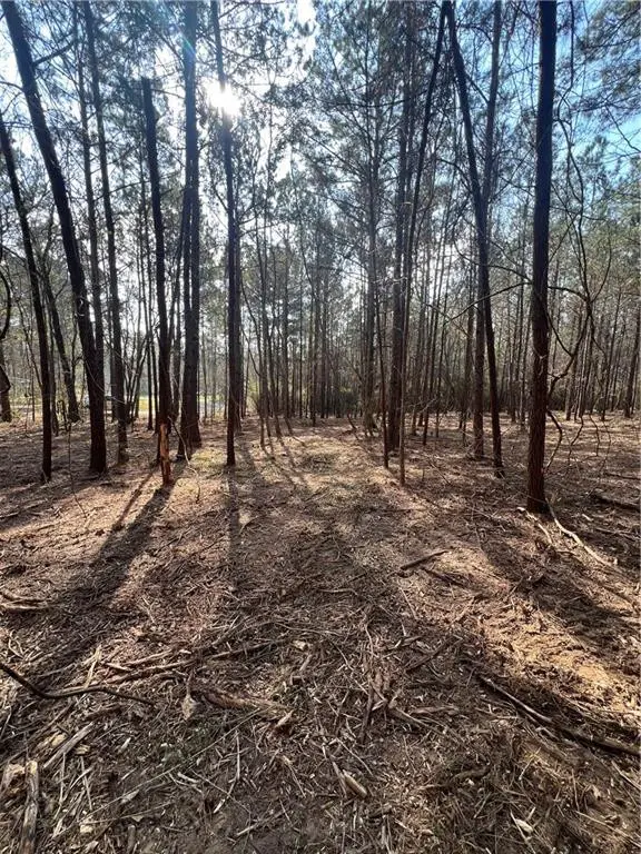 0 Chadwick Loop, Pineville, LA 71360