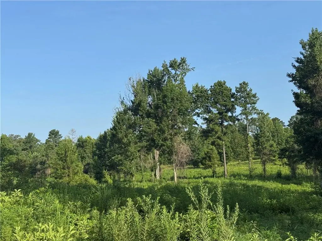 0 Hwy 1200, Boyce, LA 71409 - #1