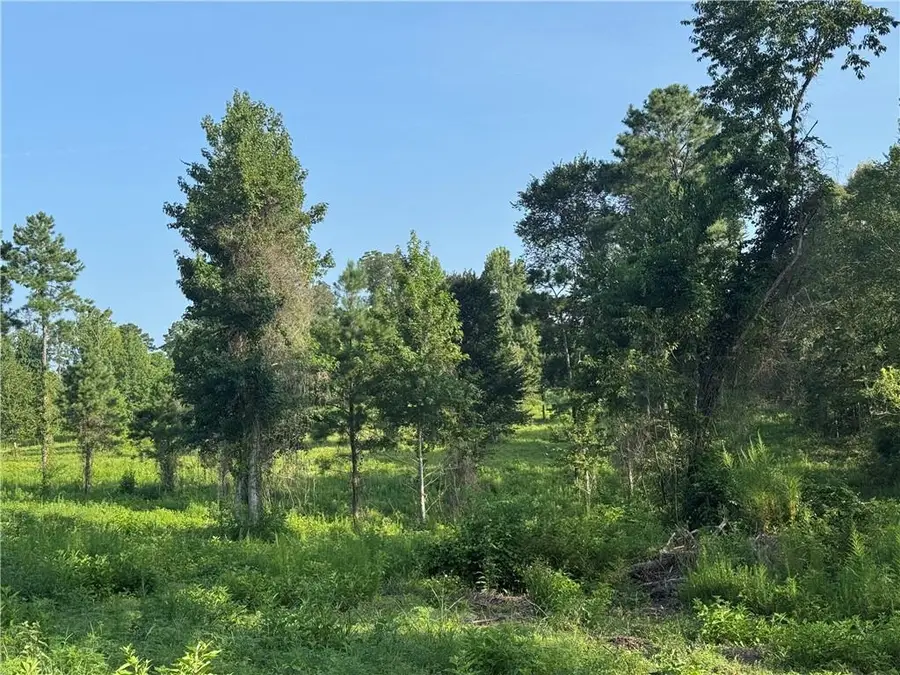 0 Hwy 1200, Boyce, LA 71409 - #3