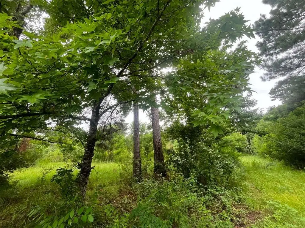 589 Tyler Cemetery Road, Center Point, LA 71323 - #1