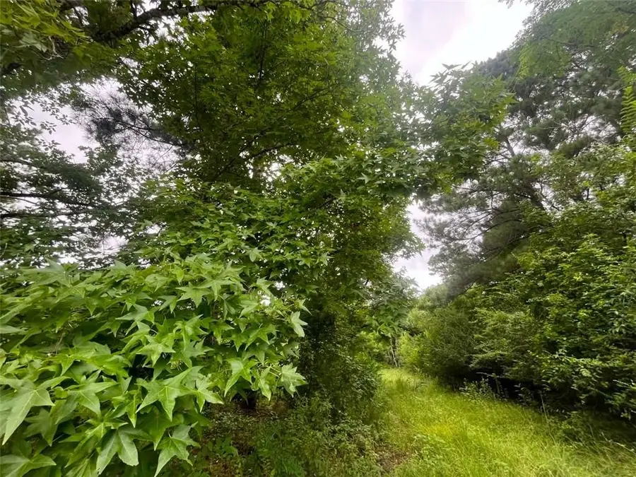 589 Tyler Cemetery Road, Center Point, LA 71323 - #3