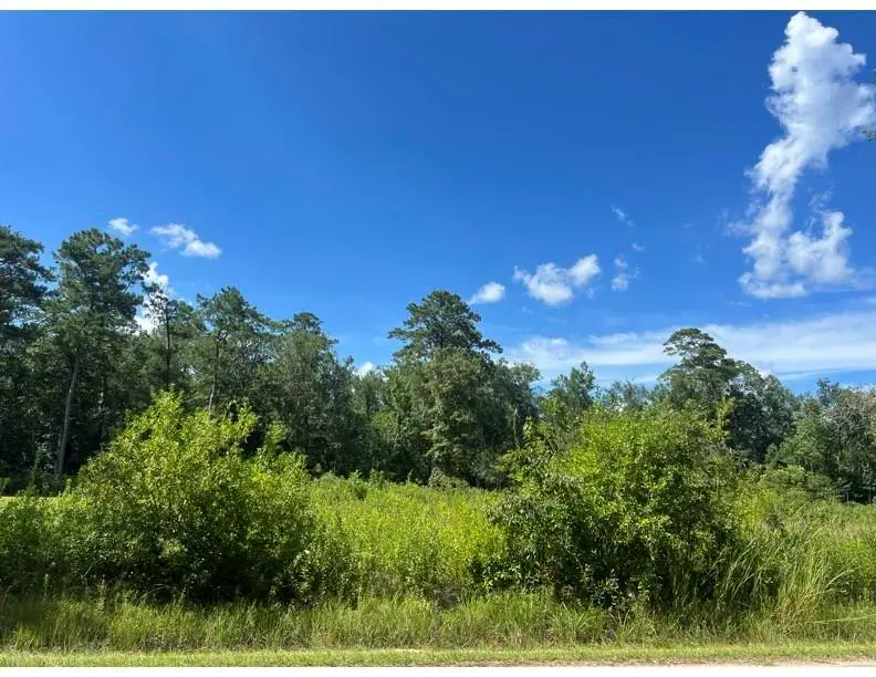 0 Max Mercer Road, Pearl River, LA 70452 - #1