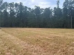 TBD Hwy 1241 Highway, Colfax, LA 71417 - #1