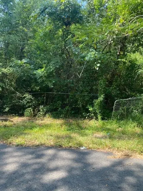 Ave C Aka Rev. Leo P Edgerson Drive, Mandeville, LA 70448 - #1