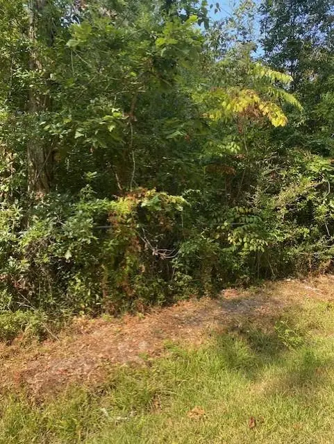 Ave C Aka Rev. Leo P Edgerson Drive, Mandeville, LA 70448 - #3
