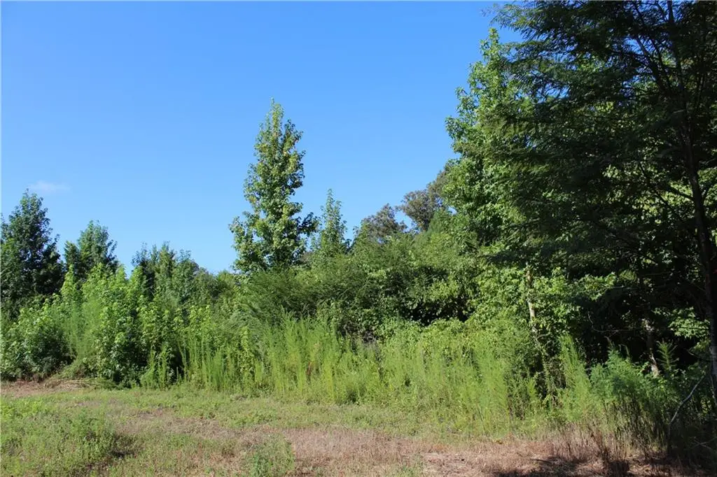 TBD Highway 1049 Highway, Kentwood, LA 70444 - #1