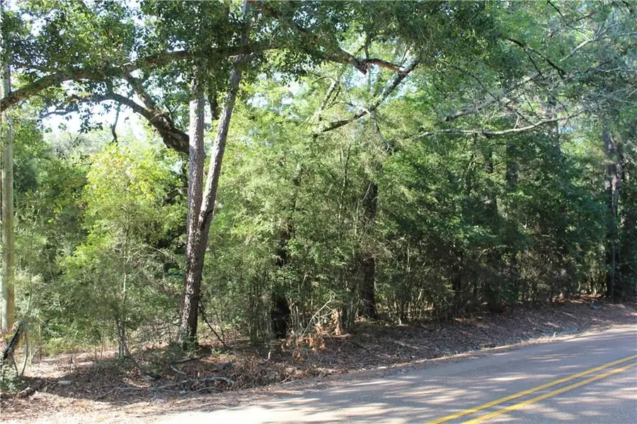 TBD Highway 1049 Highway, Kentwood, LA 70444 - #2