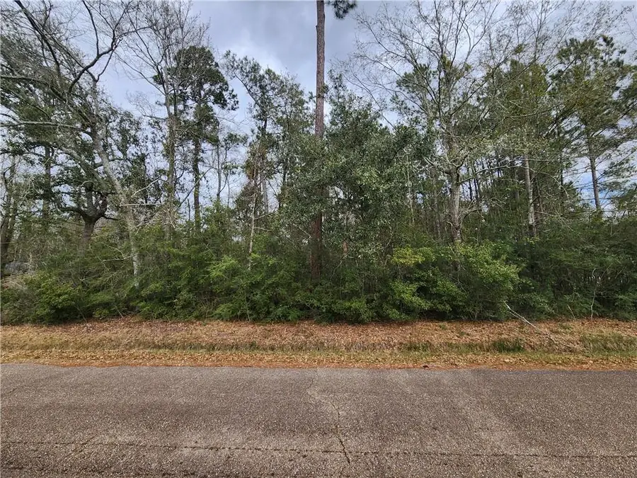 Lots 1,2,24,&25 Dunbar Drive, Slidell, LA 70461 - #2