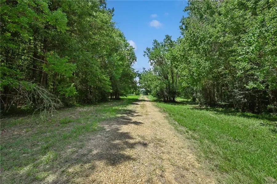 25290 Highway 450, Franklinton, LA 70438 - #2