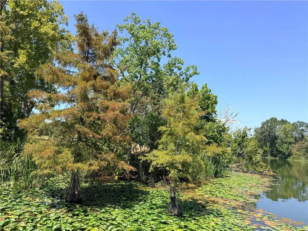 Lot 6 Rose Hill Plantation Road, Natchez, LA 71456 - #1