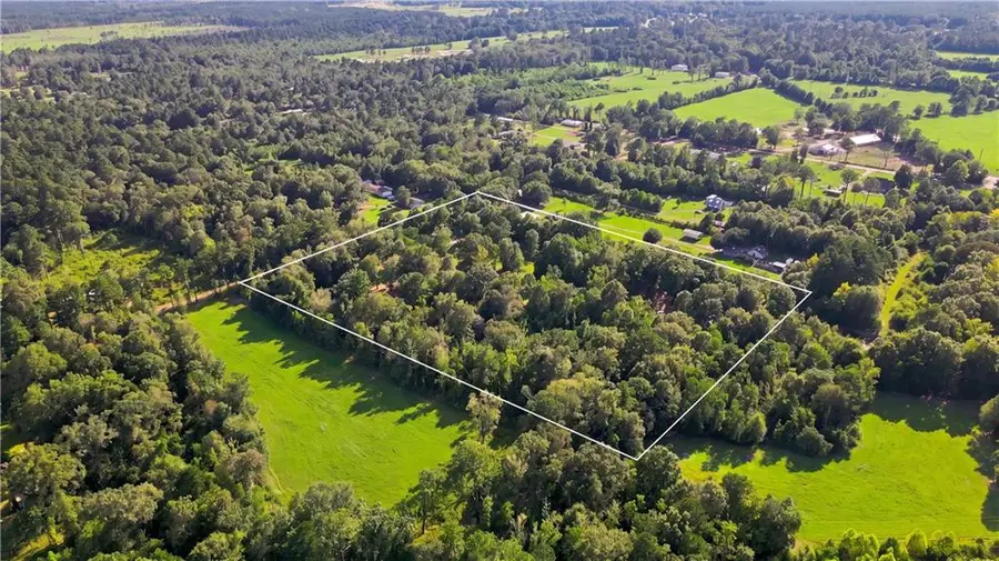 Chateau Farm Road, Loranger, LA 70446 - #3