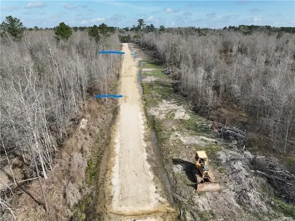 A1C1-A Bayou Lane, Holden, LA 70744