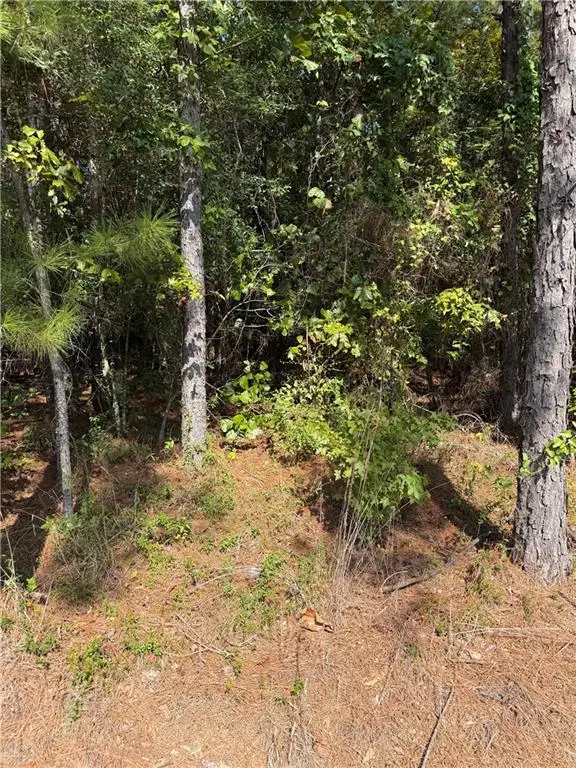 223 Wainwright Road, Pineville, LA 71360