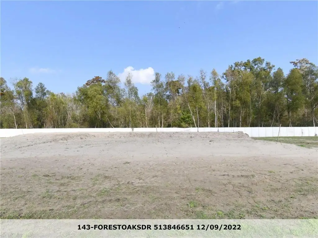 143 Forest Oaks Drive, New Orleans, LA 70131 - #1