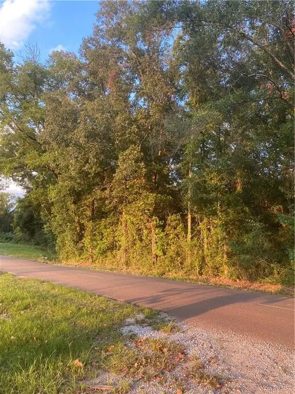 00 Shriner's Drive, Bogalusa, LA 70427 - #2