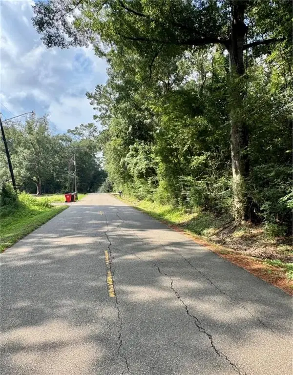 TBD W Yellow Water Road, Hammond, LA 70403 - #2
