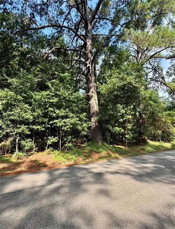 TBD W Yellow Water Road, Hammond, LA 70403 - #3