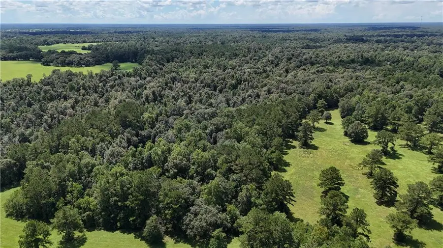 21258 Wallace King Road, Bush, LA 70431 - #3