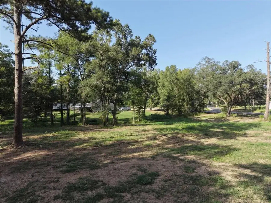 26361 S Satsuma Road, Livingston, LA 70754 - #2