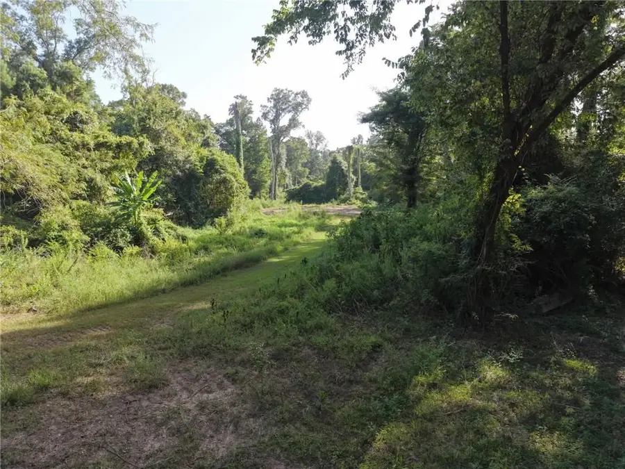 26361 S Satsuma Road, Livingston, LA 70754 - #3
