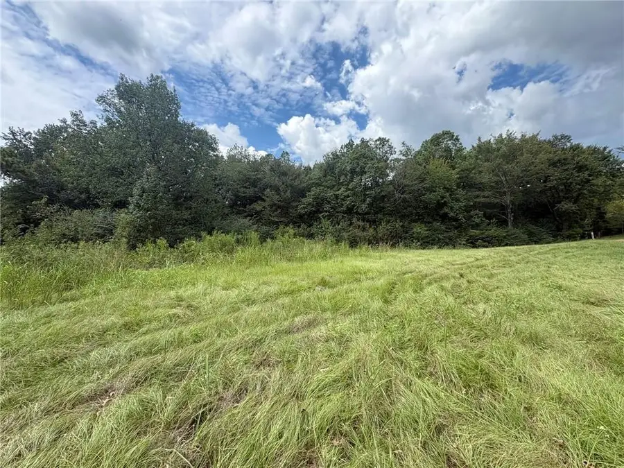 0 Elmer Chauffepied Road, Marksville, LA 71351 - #3
