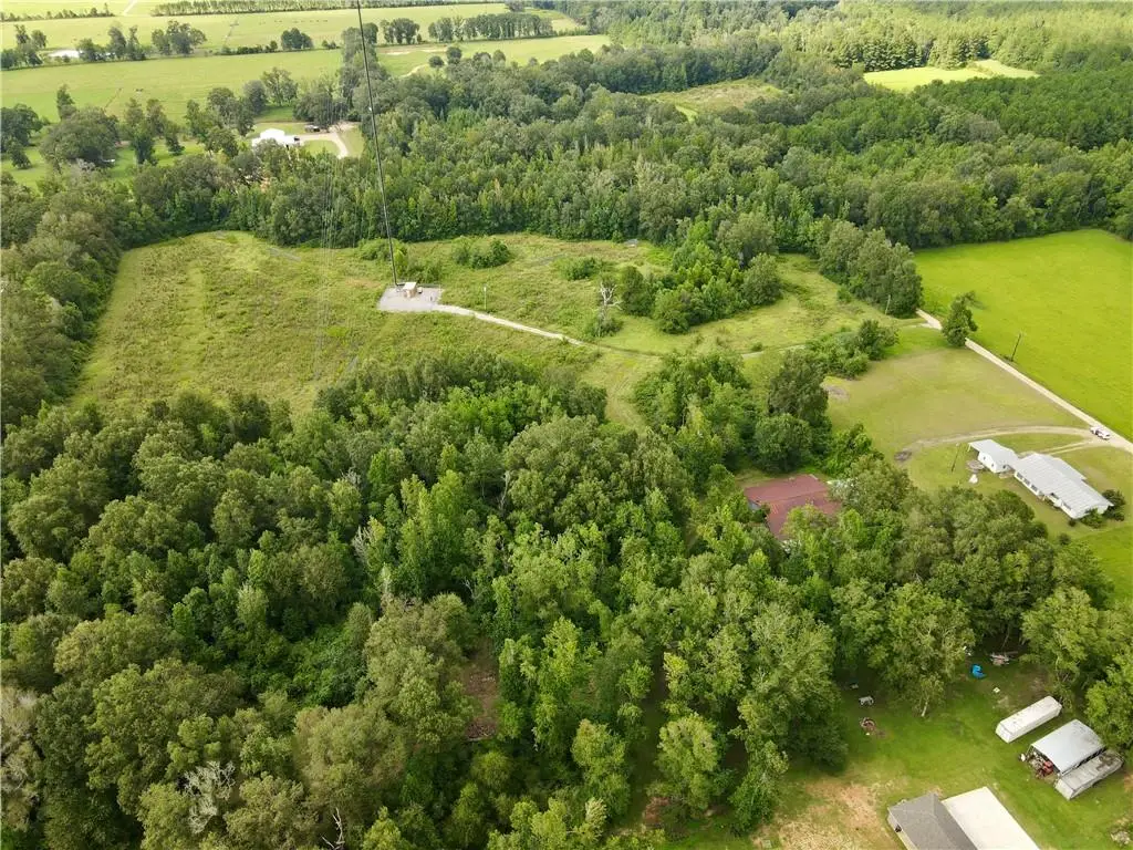 CW-4 Savoie Lane, Loranger, LA 70446 - #1