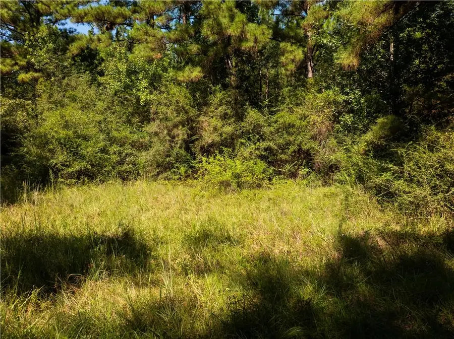 1715 Lena Flatwoods Road, Lena, LA 71447 - #2
