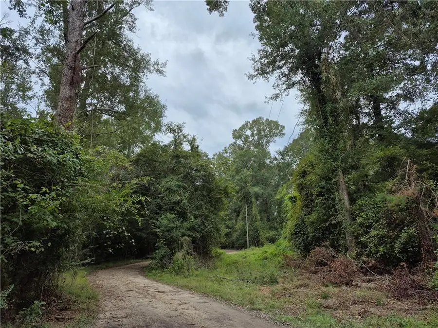 0 S River Road, Angie, LA 70426 - #2