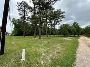 TBD La 445 Highway, Robert, LA 70455 - #2