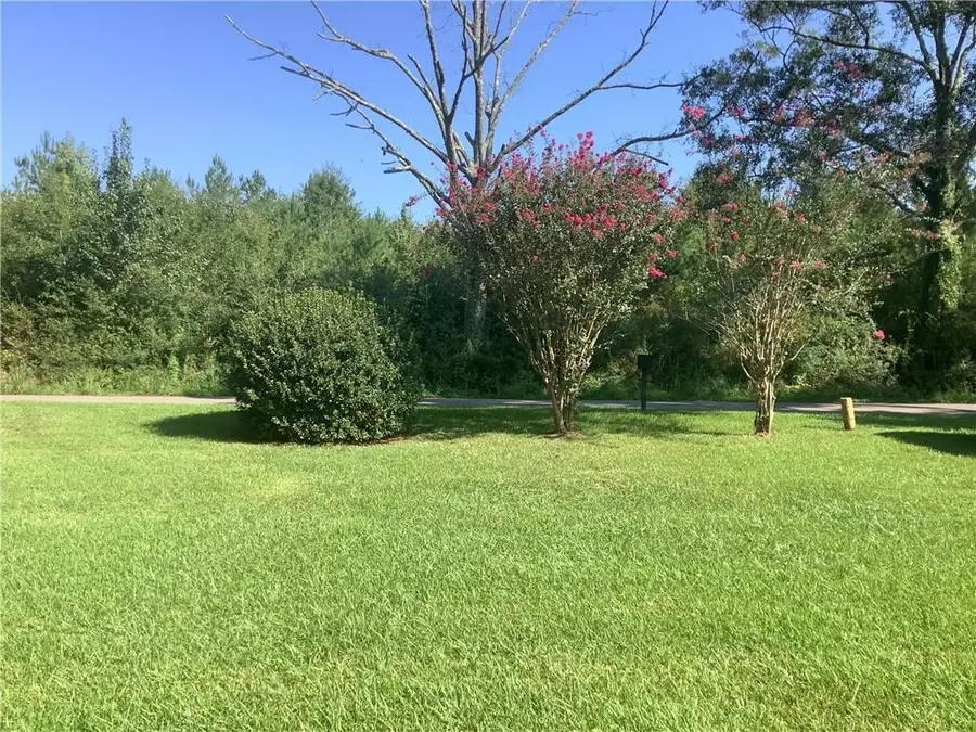 43314 Willie Youngblood Road, Franklinton, LA 70438 - #3