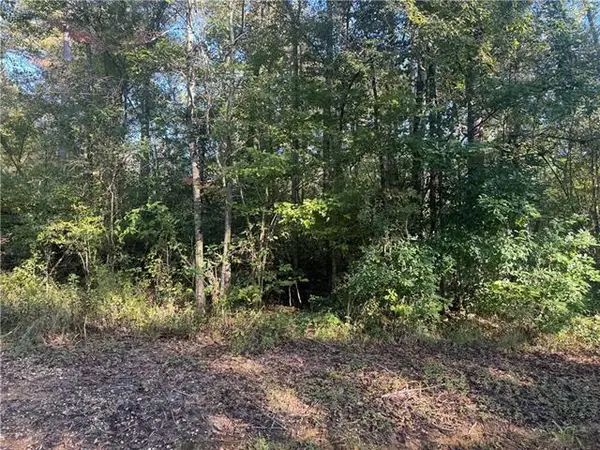 25397 Taylor Creek Road, Amite, LA 70422