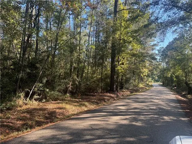 25397 Taylor Creek Road, Amite, LA 70422 - #2