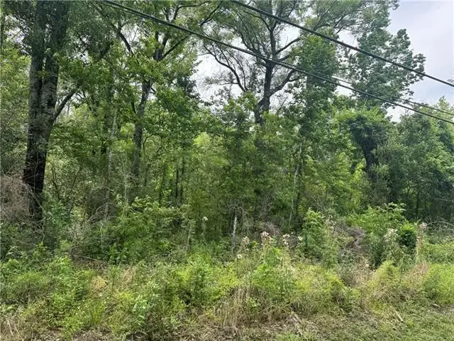 12258 N Central Avenue, Roseland, LA 70456 - #2
