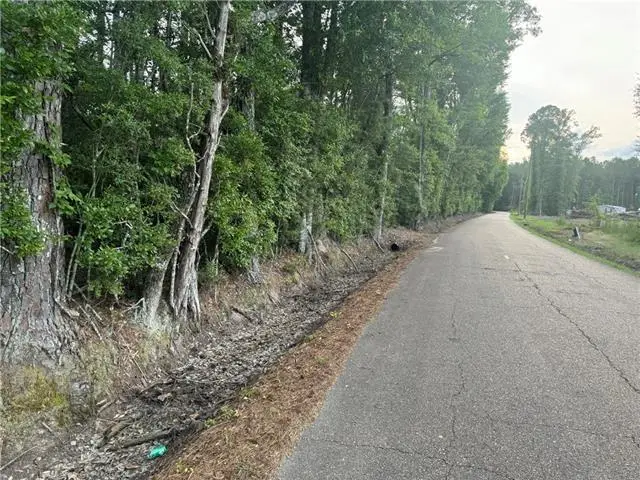 0 Russell Town Road, Roseland, LA 70456 - #2