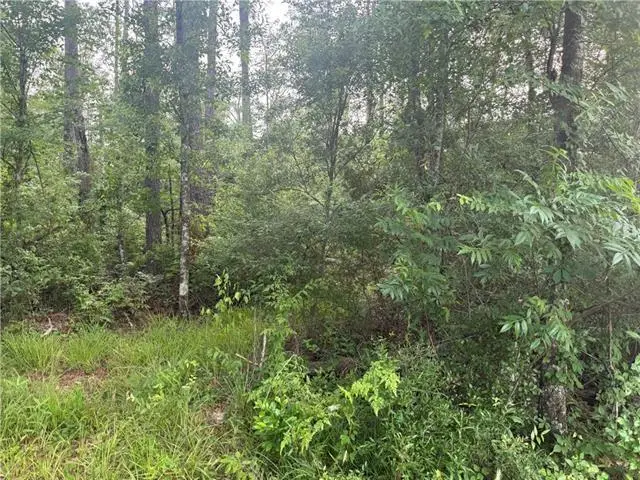 0 Russell Town Road, Roseland, LA 70456 - #3